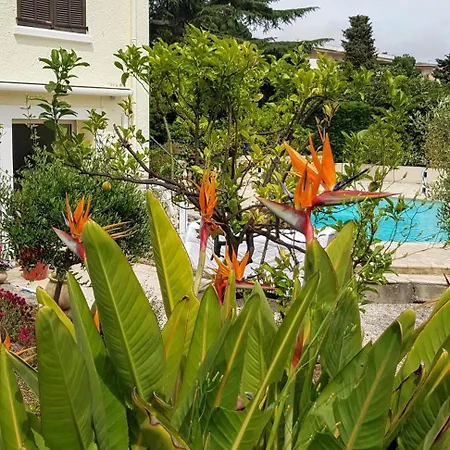 De Charme Centre Au Calme Semesterbostad Cannes